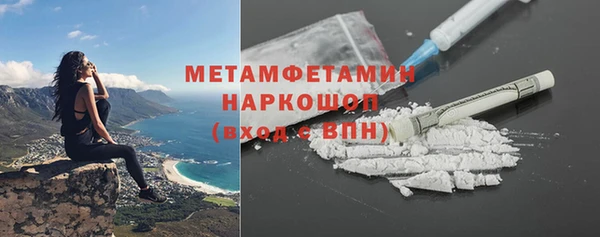 индика Богданович