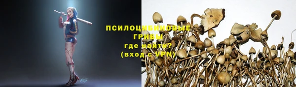 Альфа ПВП Богородицк