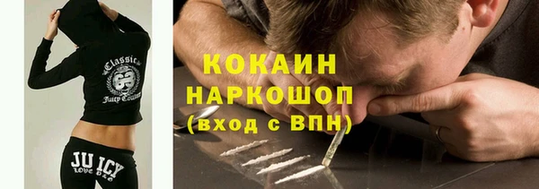индика Богданович