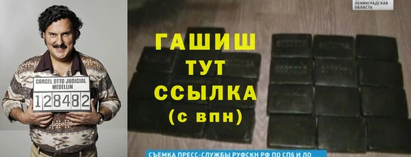 индика Богданович