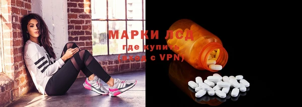 прущий лед Бородино