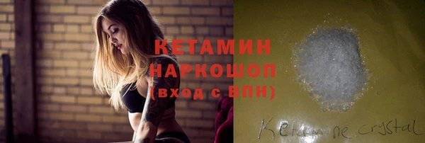 прущий лед Бородино