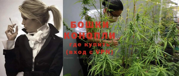 индика Богданович