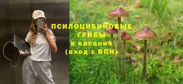 бутират Бугульма