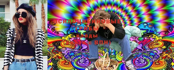 индика Богданович