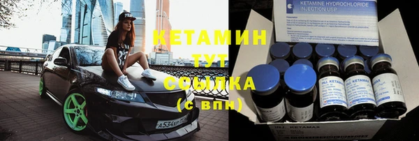 индика Богданович