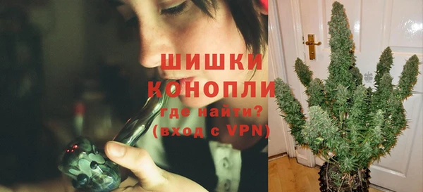 сатива Бронницы
