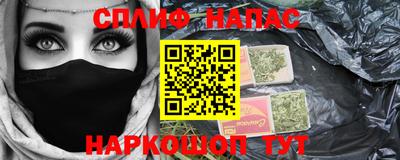 гашик Хасавюрт