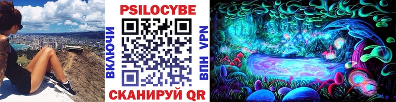это Telegram OMG ССЫЛКА Горно-Алтайск Псилоцибиновые грибы ЛСД