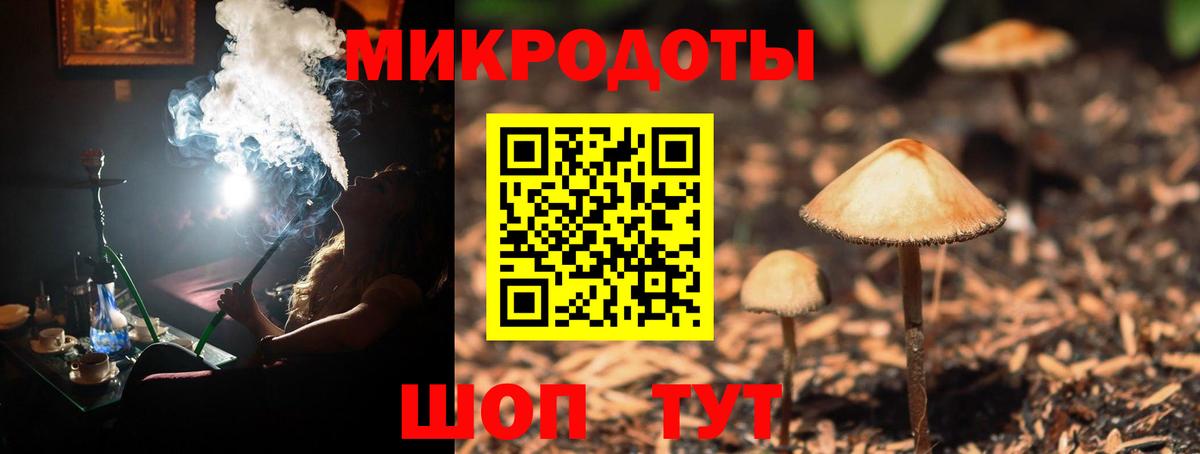 Псилоцибиновые грибы Magic Shrooms  Вход с VPN  Горно-Алтайск 